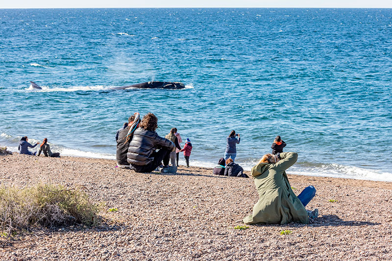 Panorama crítico y expectativas moderadas para el turismo en Madryn