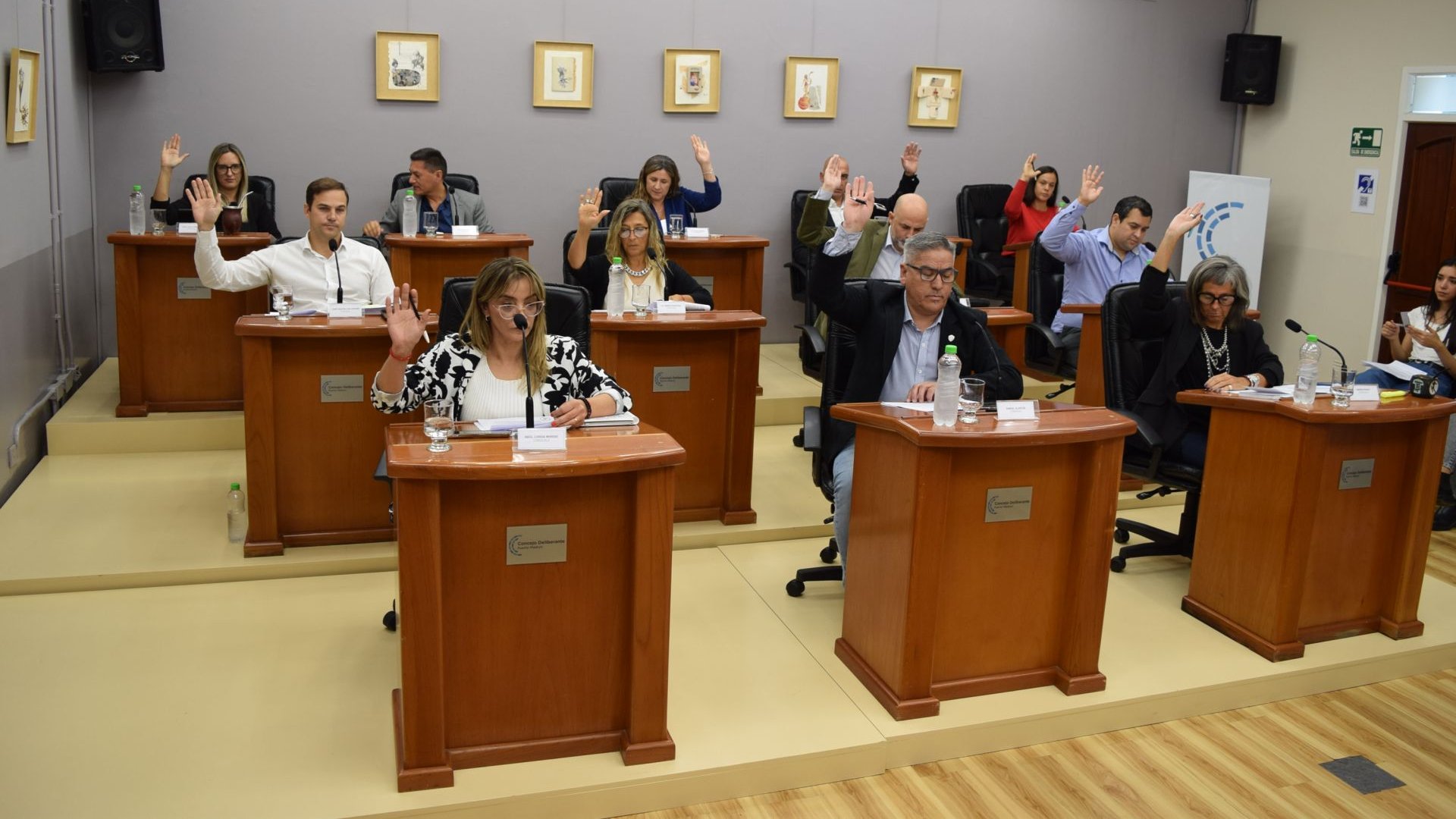 Puerto Madryn: Aprueban ordenanza que simplifica acceso al transporte gratuito para personas con discapacidad