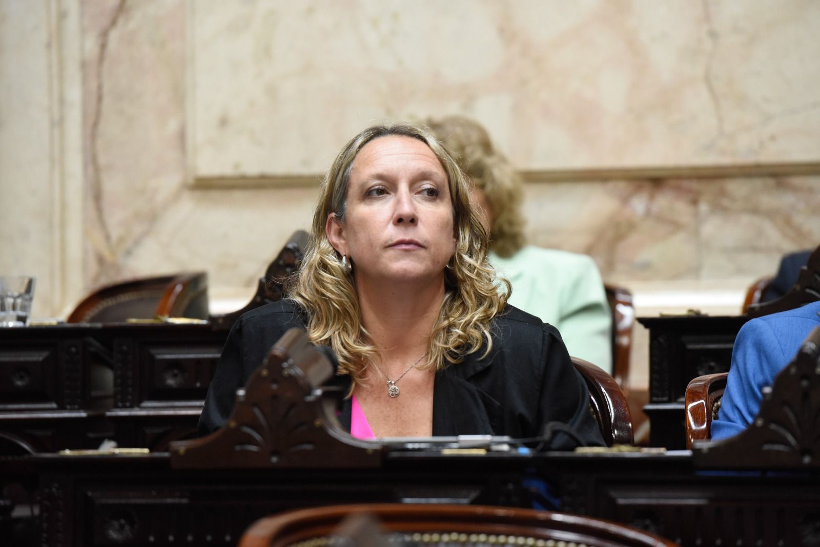 Alianiello sobre la reforma de la Policía Federal: «Es un atropello a nuestros principios constitucionales»