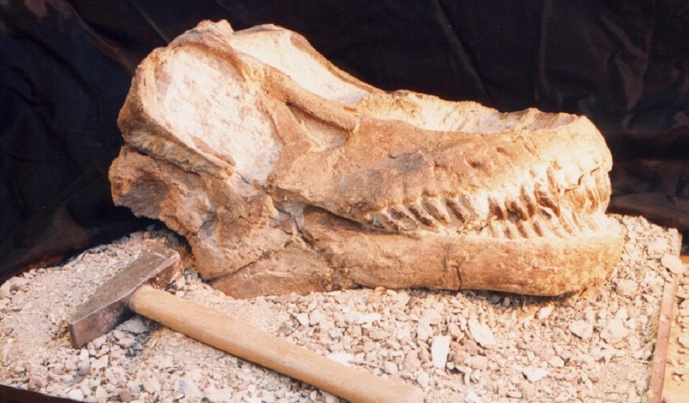 Charla en el Cenpat “Desde los dinosaurios hasta El Eternauta”