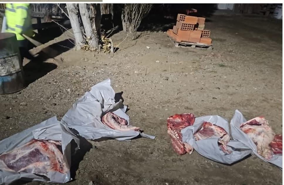 Incautaron carne de dudosa procedencia durante un control