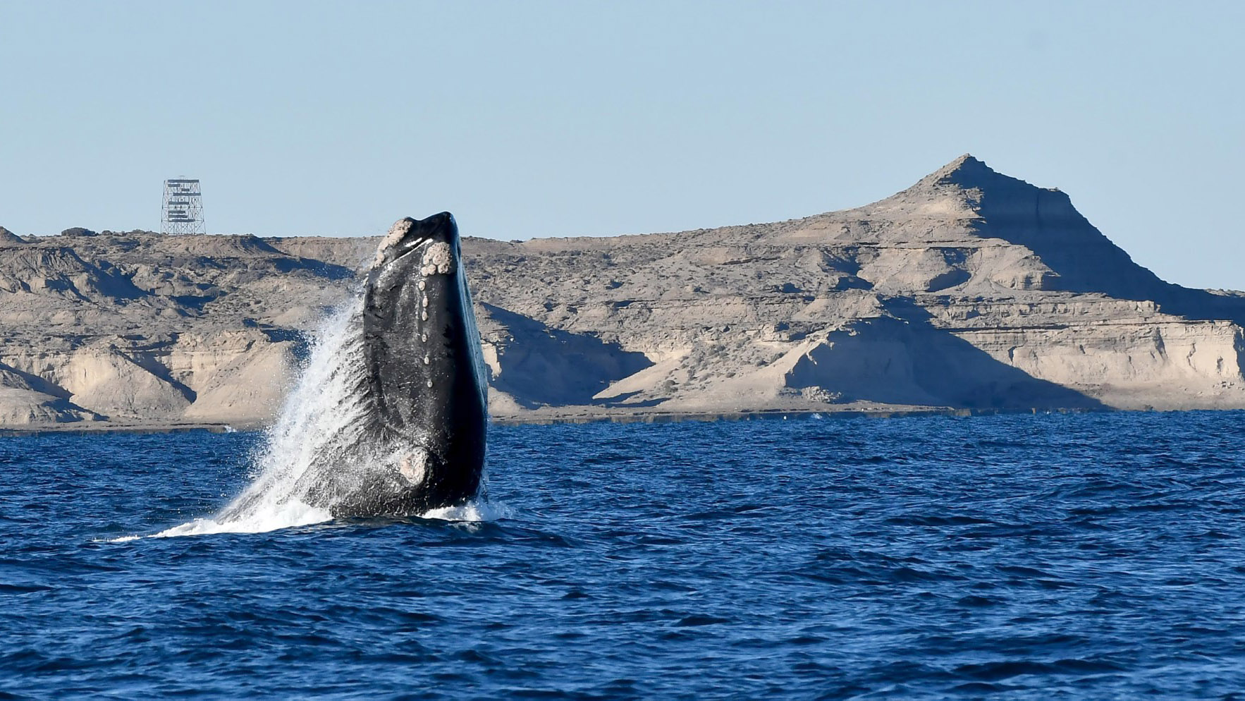 Sastre lanzó beneficios especiales para impulsar la llegada de turistas a Puerto Madryn