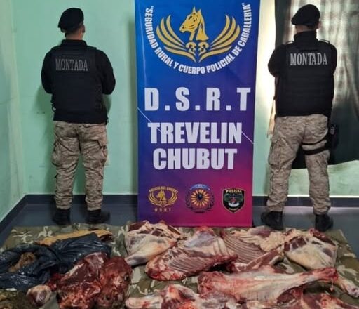 Secuestran carne de faena ilegal en un operativo sobre Ruta 40