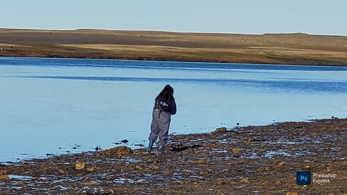 Miles de invertebrados viven al amparo de las algas de Madryn