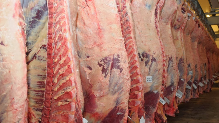 Estados Unidos cuadriplicó la cuota de compra de carne vacuna argentina