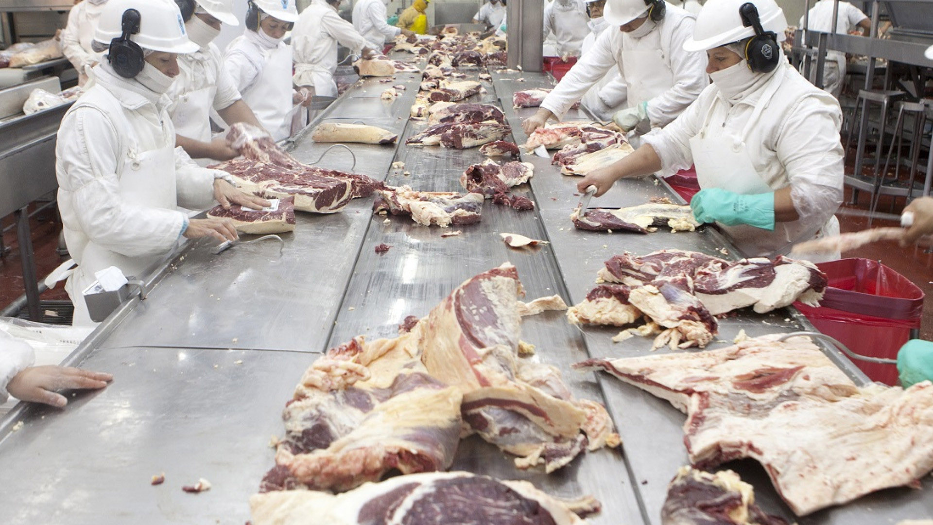 Chile levantó la suspensión de importar carne de la Patagonia