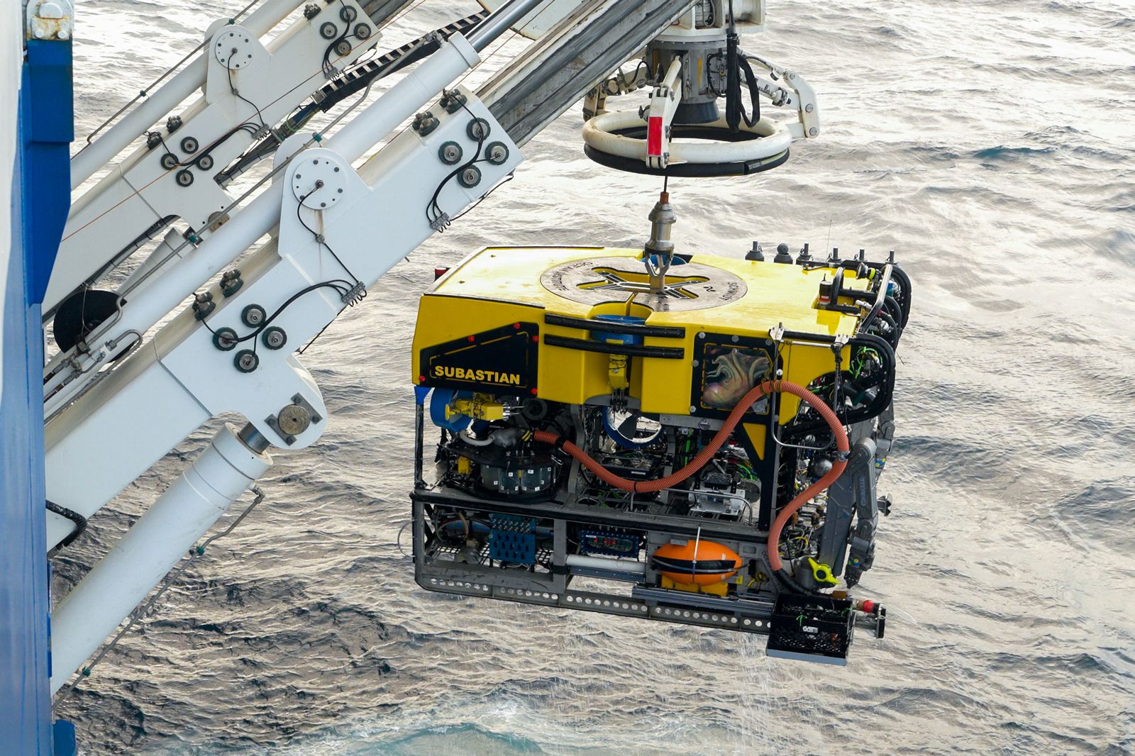 Buscan acercar la ciencia marina a la comunidad