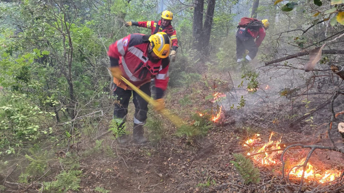 Más de 200 hectáreas arrasadas por el fuego en El Pedregoso