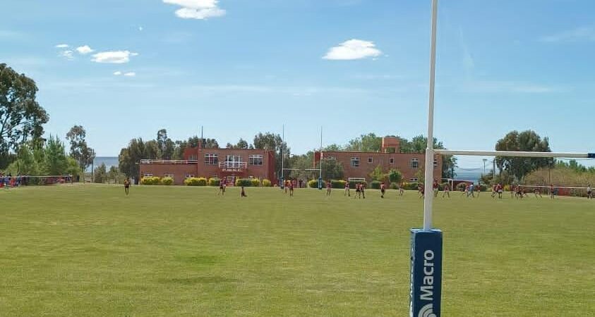 Rugbiers reconocieron la agresión a un adolescente y ofrecieron disculpas en redes