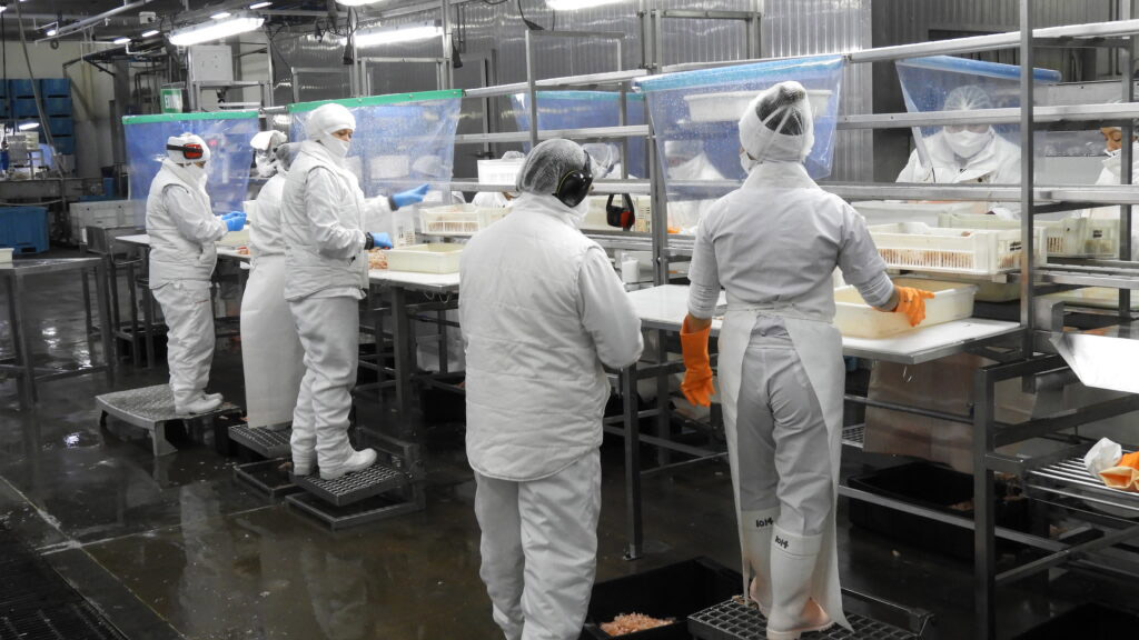 El STIA le exige a Red Chamber las altas laborales