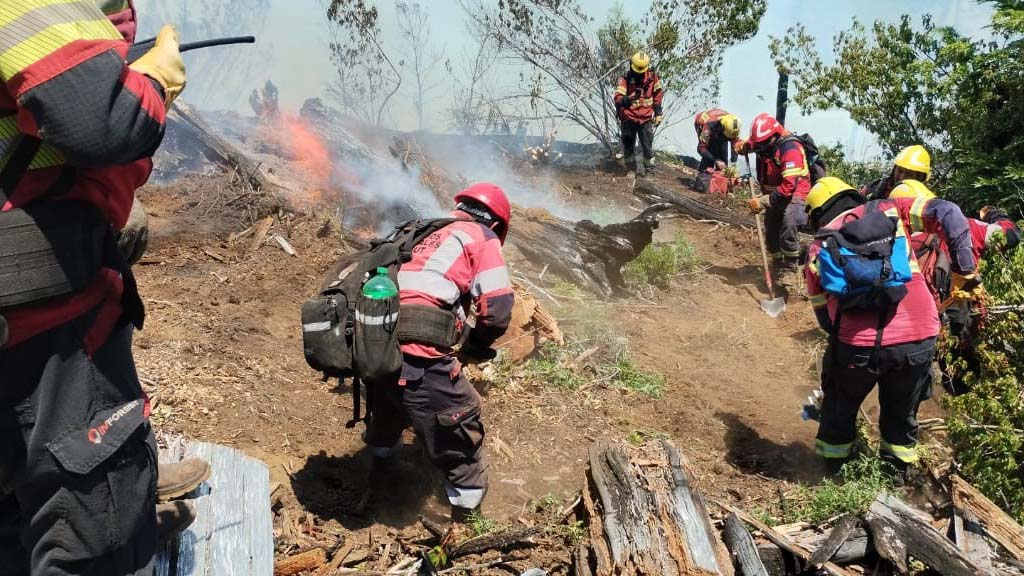Se logró controlar el incendio forestal en El Turbio