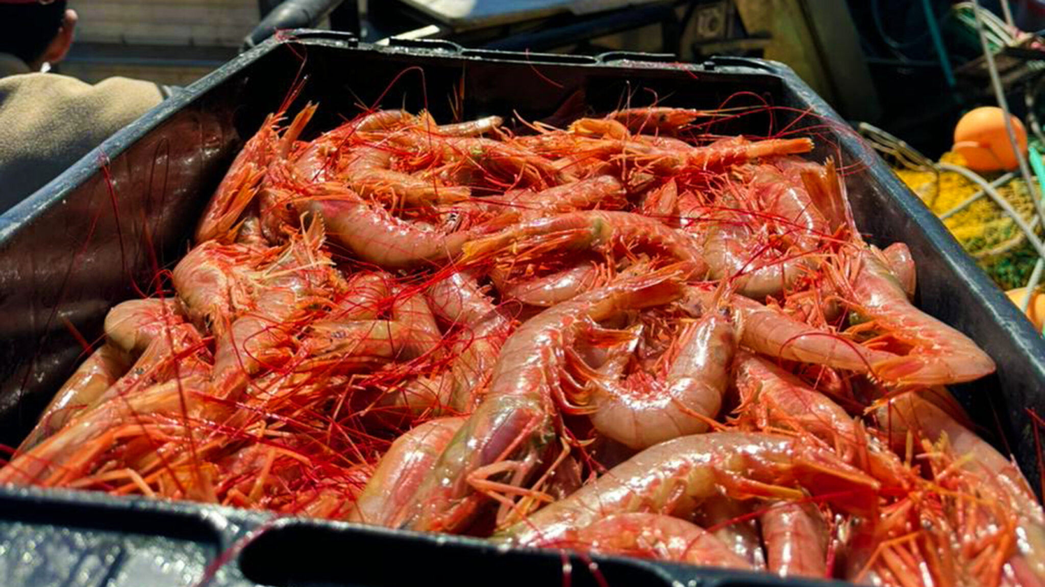 Pesca y CAPIP firman convenio en el marco del Programa del Mar a la Mesa