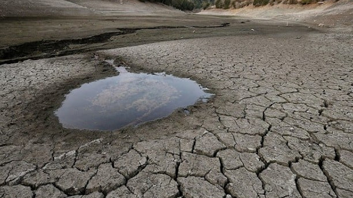 Emergencia agropecuaria por sequía en Neuquén