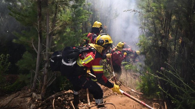 El fuego se reactivó en Los Alerces