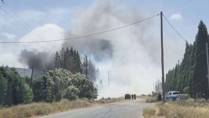 Voraz incendio en la planta de Conarpesa