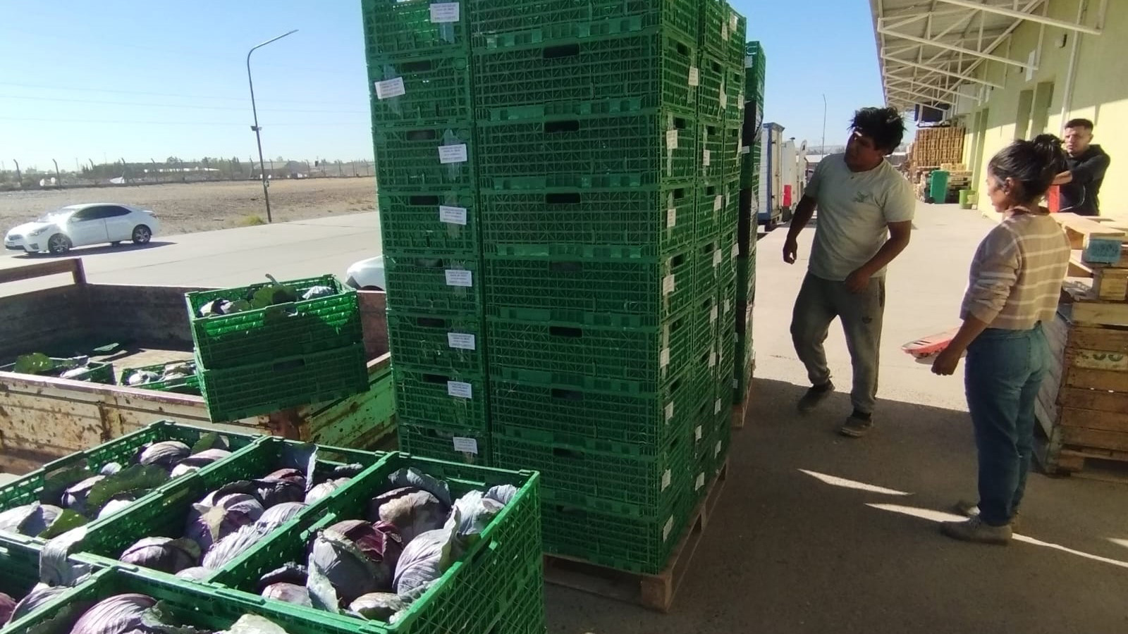 Apuntan a nuevos mercados para productores del Valle Inferior del Río Chubut