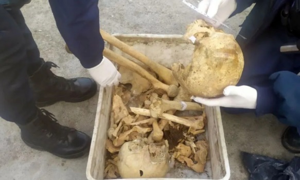 Los cráneos del GIRSU podrían ser sólo material de estudio medico