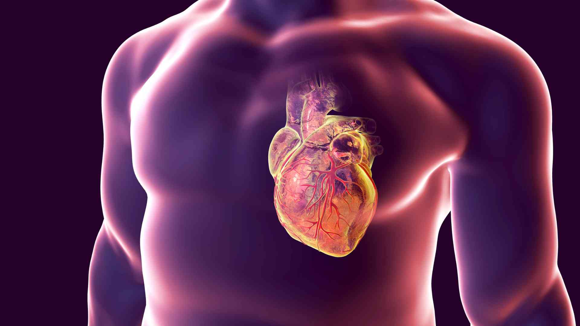 Nueva jornada en Trelew sobre las Cardiopatías Congénitas
