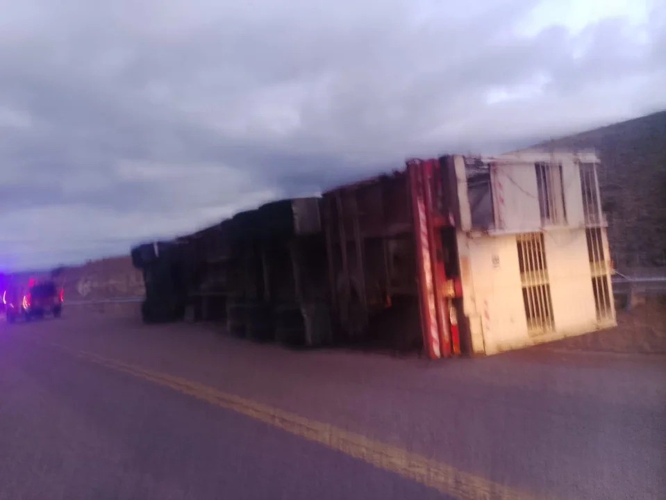 Un camión con ganado vacuno volcó en la Ruta 25