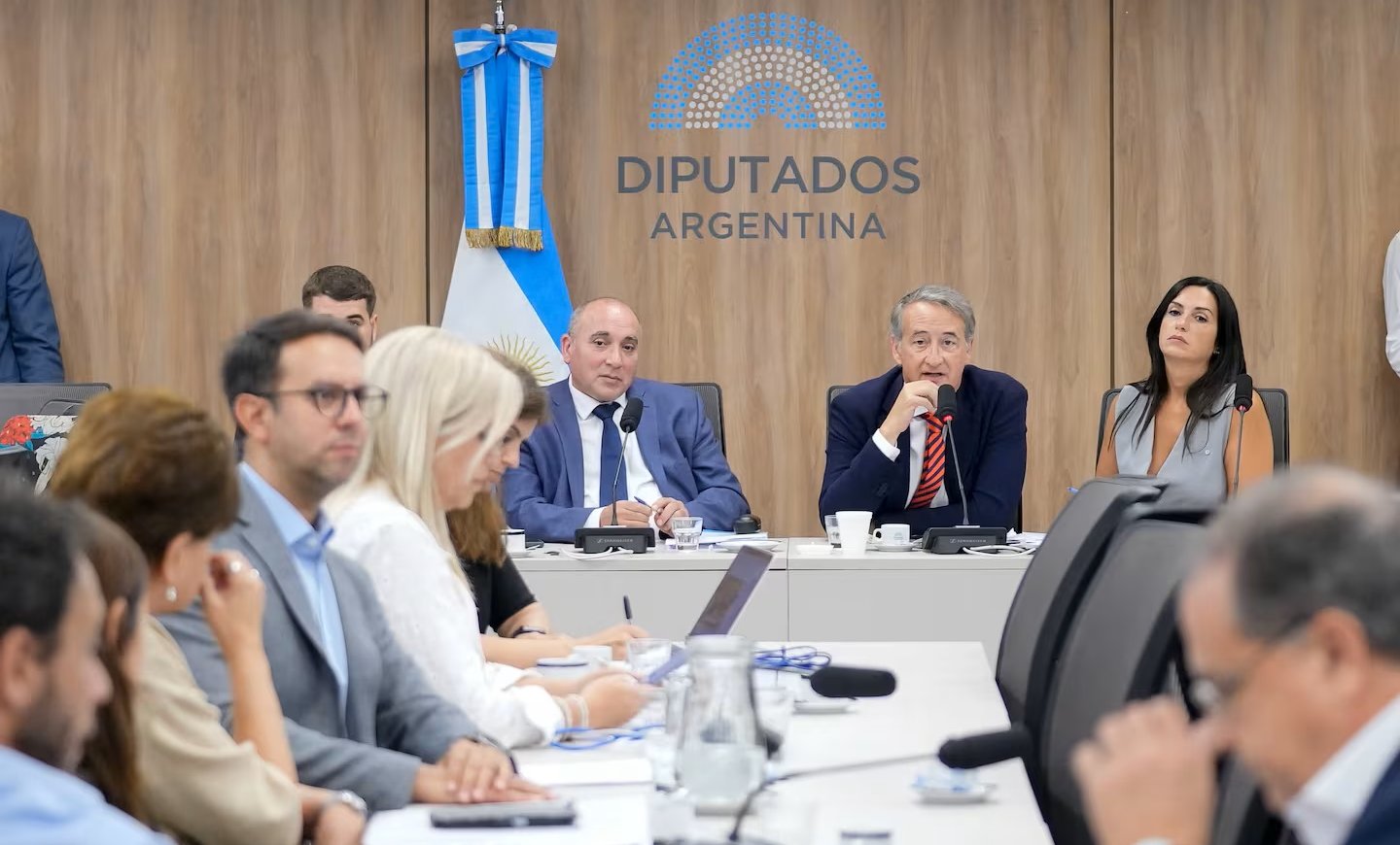 Finalmente realizarán una audiencia pública para la reforma a la Ley de Glaciares