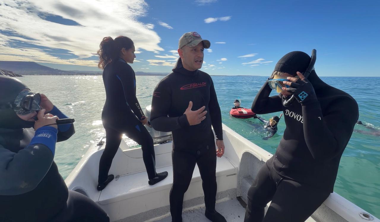 Aprobaron el buceo con lobos marinos en Comodoro Rivadavia