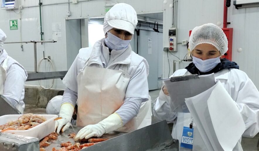 Buscan mejorar los indicadores socio laborales en la pesca