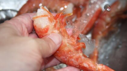 Empresarios pesqueros afirman que procesar a bordo no afecta el trabajo en tierra
