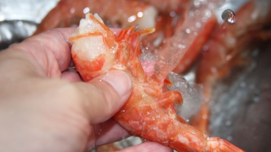 Empresarios pesqueros afirman que procesar a bordo no afecta el trabajo en tierra