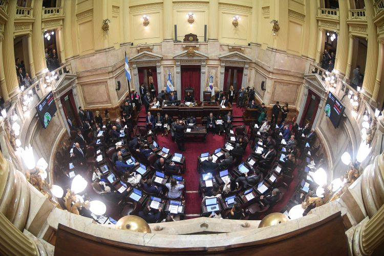 El Senado debate la reforma de la Ley de Salud Mental